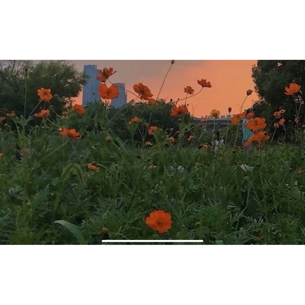 Meet your Posher, Nina